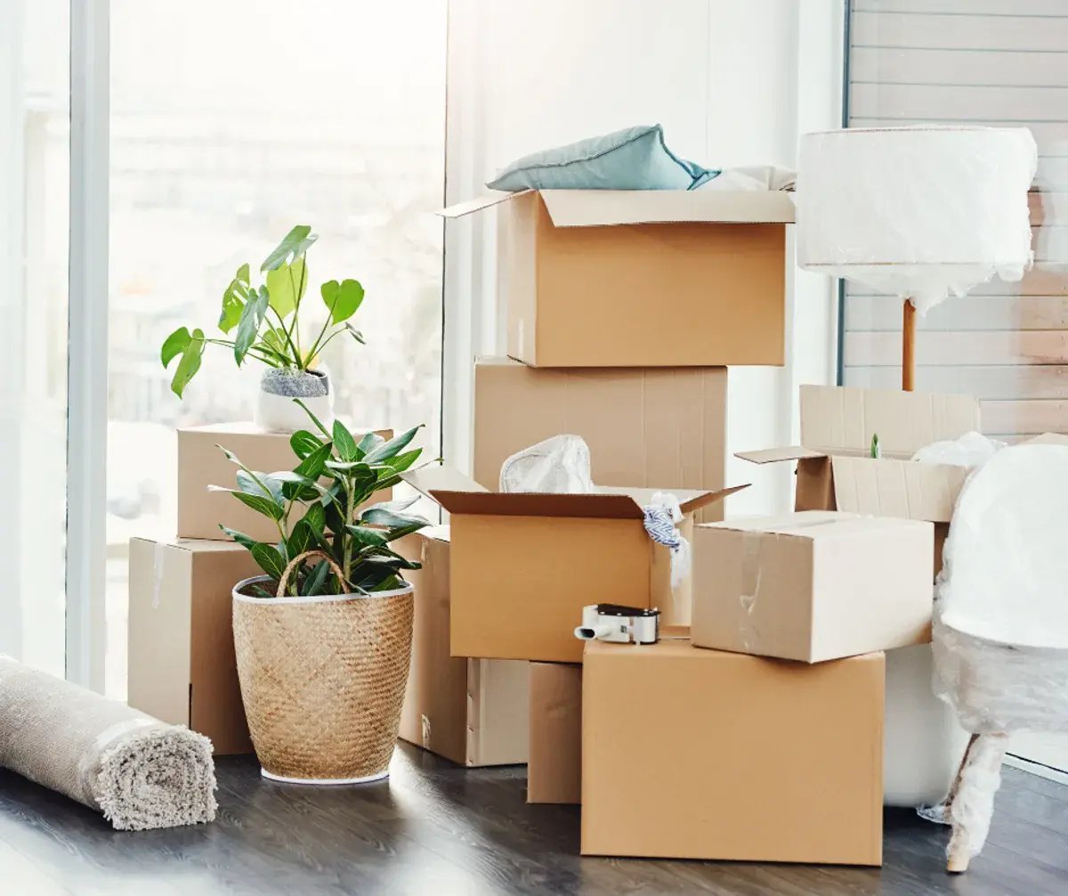 Our favorite moving tips and tricks